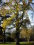 Le Parc