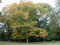 Le Parc