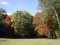 Le Parc