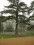 Le Parc sous la Neige