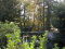 Le petit Ponton du Canal